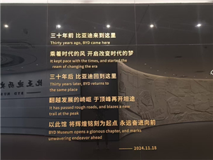 比亚迪6栋完工 (19)